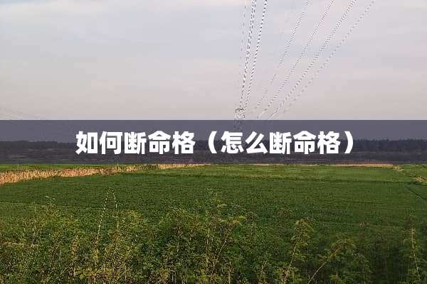 如何断命格（怎么断命格）