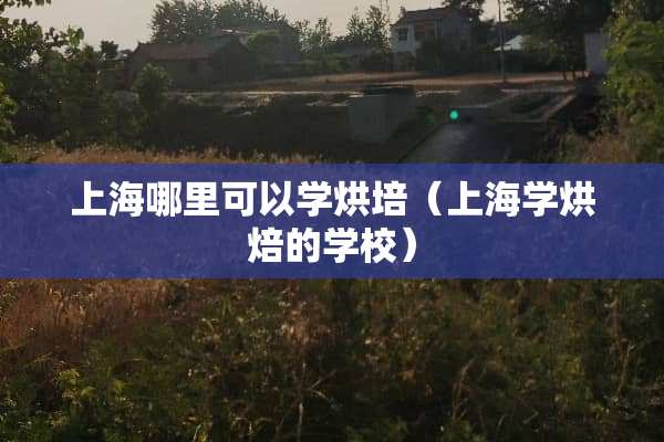上海哪里可以学烘培（上海学烘焙的学校）