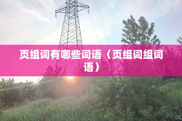 页组词有哪些词语（页组词组词语）