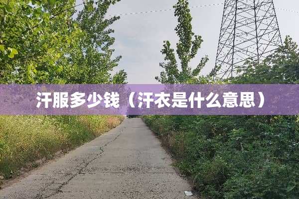 汗服多少钱（汗衣是什么意思）