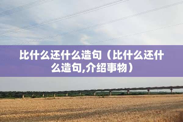 比什么还什么造句（比什么还什么造句,介绍事物）
