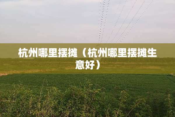 杭州哪里摆摊（杭州哪里摆摊生意好）