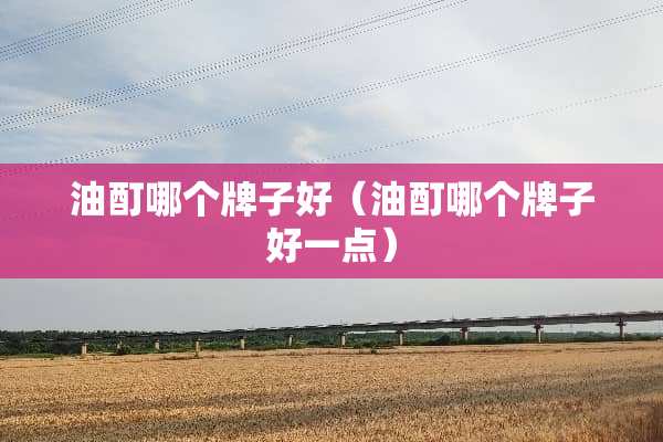 油酊哪个牌子好（油酊哪个牌子好一点）