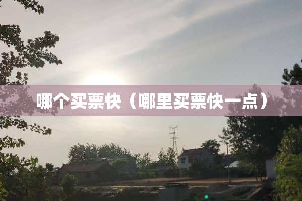 哪个买票快（哪里买票快一点）
