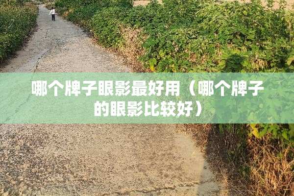 哪个牌子眼影最好用（哪个牌子的眼影比较好）