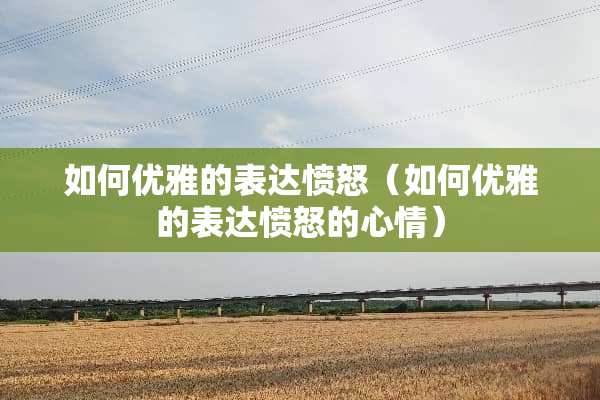 如何优雅的表达愤怒（如何优雅的表达愤怒的心情）