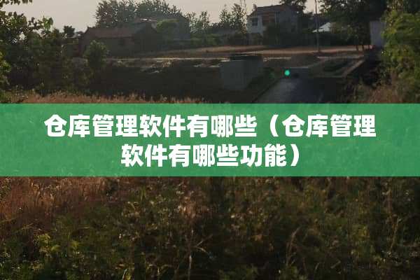 仓库管理软件有哪些（仓库管理软件有哪些功能）