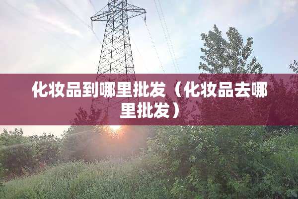化妆品到哪里批发（化妆品去哪里批发）