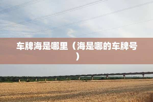 车牌海是哪里（海是哪的***）