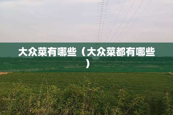 大众菜有哪些（大众菜都有哪些）