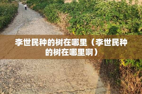 李世民种的树在哪里（李世民种的树在哪里啊）