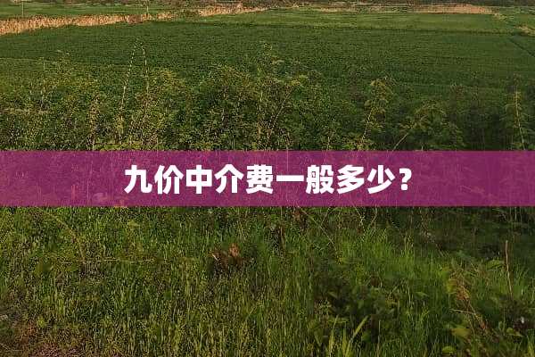 九价中介费一般多少？