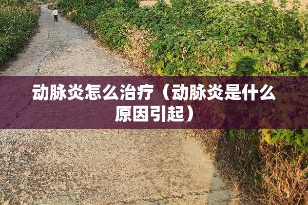 动脉炎怎么治疗（动脉炎是什么原因引起）