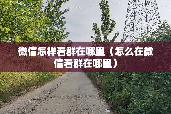 微信怎样看群在哪里（怎么在微信看群在哪里）