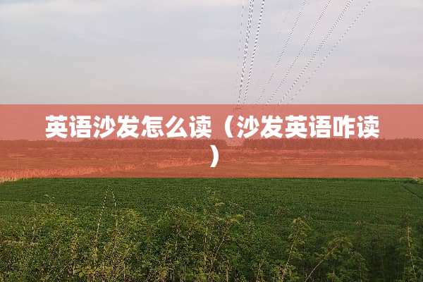 英语沙发怎么读（沙发英语咋读）
