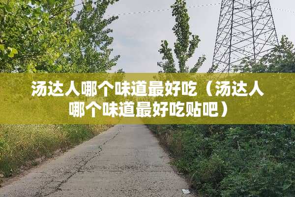 汤达人哪个味道最好吃（汤达人哪个味道最好吃贴吧）