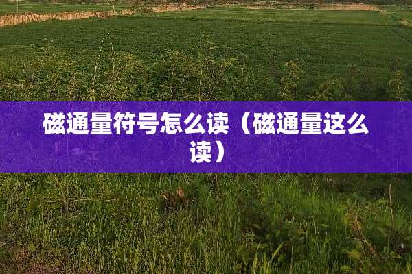 磁通量符号怎么读（磁通量这么读）