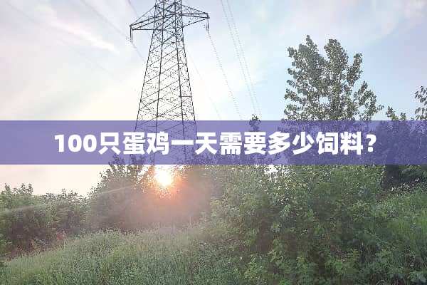 100只蛋鸡一天需要多少饲料？