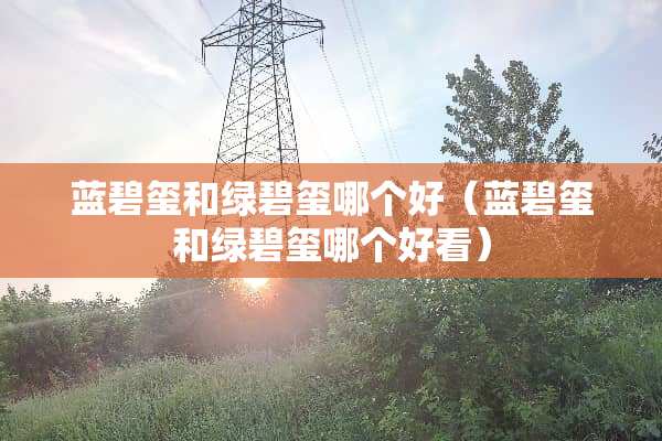 蓝碧玺和绿碧玺哪个好（蓝碧玺和绿碧玺哪个好看）