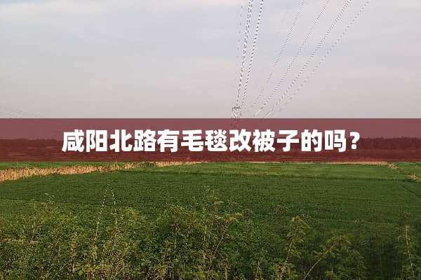 咸阳北路有毛毯改被子的吗？