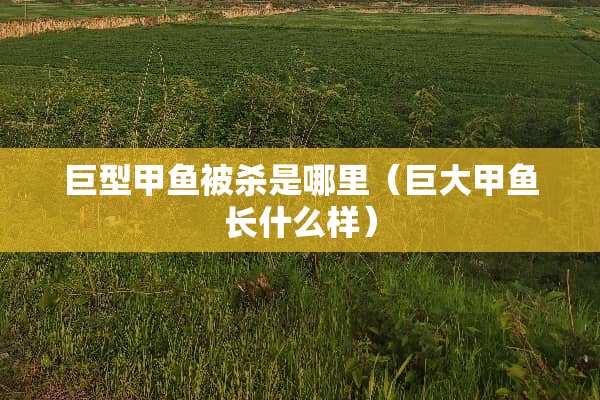 巨型甲鱼被杀是哪里（巨大甲鱼长什么样）