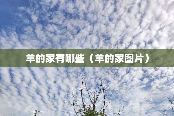 羊的家有哪些（羊的家图片）