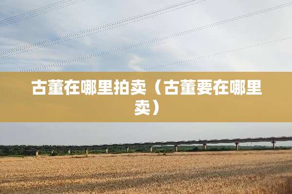 古董在哪里拍卖（古董要在哪里卖）