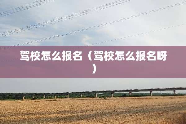 驾校怎么报名（驾校怎么报名呀）