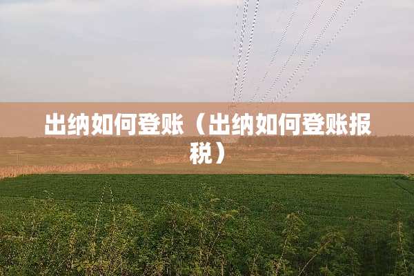 出纳如何登账（出纳如何登账**）