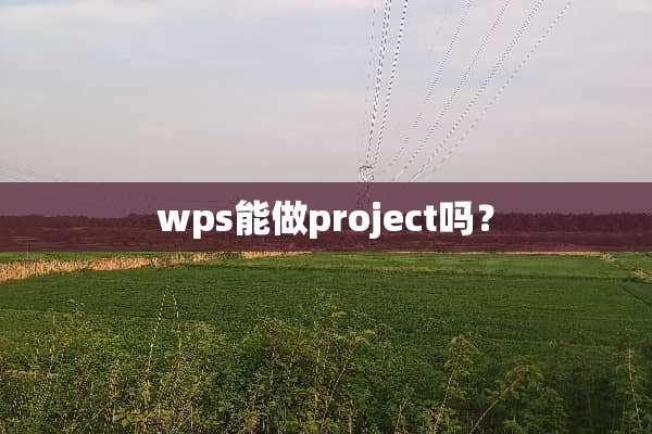 wps能做project吗？