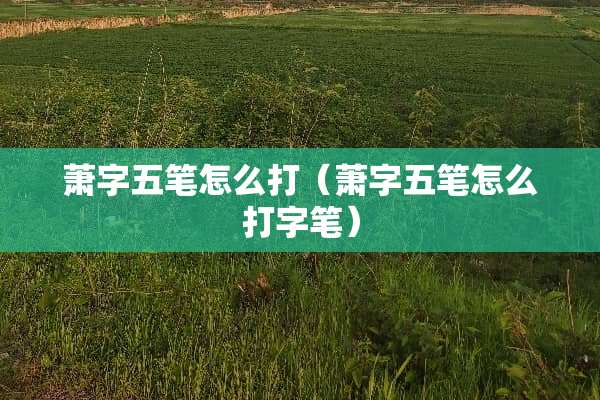 萧字五笔怎么打（萧字五笔怎么打字笔）