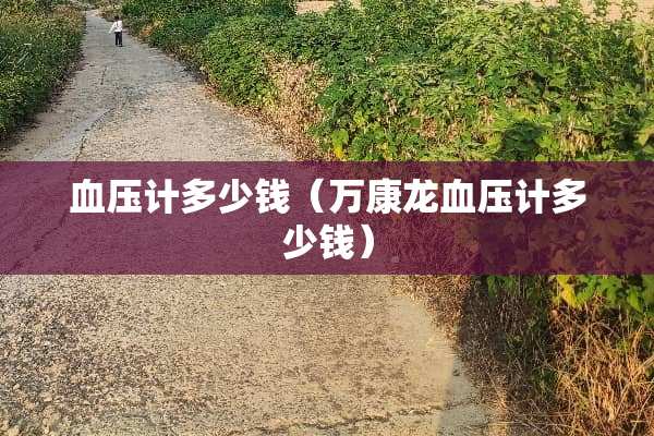 血压计多少钱（万康龙血压计多少钱）