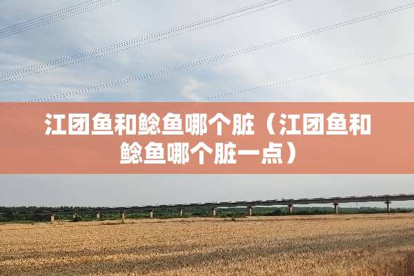 江团鱼和鲶鱼哪个脏（江团鱼和鲶鱼哪个脏一点）