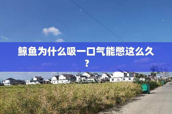 鲸鱼为什么吸一口气能憋这么久？