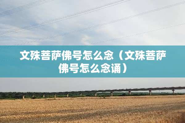 文殊菩萨佛号怎么念（文殊菩萨佛号怎么念诵）