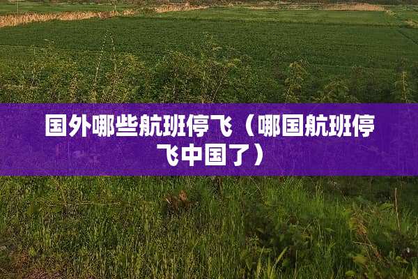 国外哪些航班停飞（哪国航班停飞中国了）