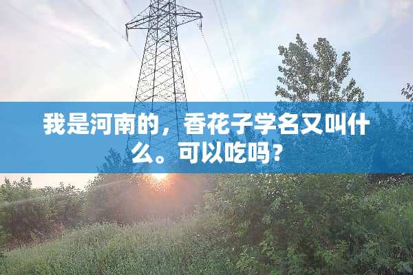 我是河南的，香花子学名又叫什么。可以吃吗？