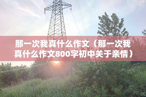 那一次我真什么作文（那一次我真什么作文800字初中关于亲情）