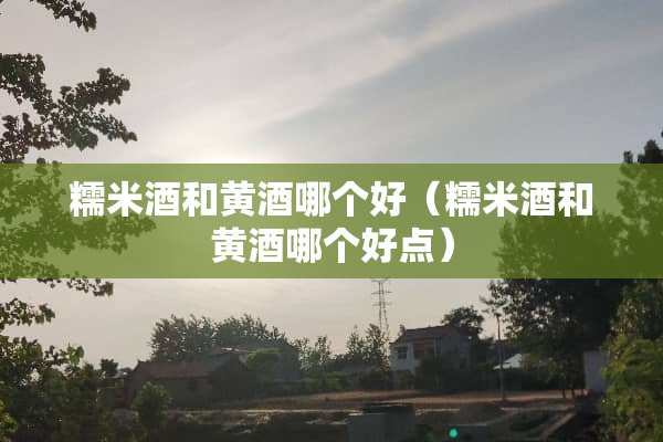 糯米酒和黄酒哪个好（糯米酒和黄酒哪个好点）