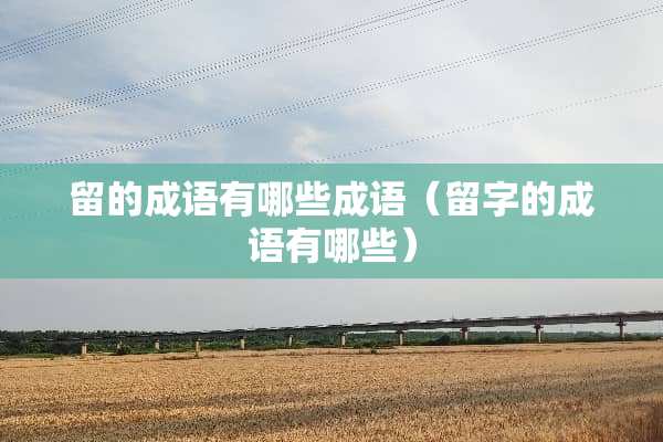 留的成语有哪些成语（留字的成语有哪些）