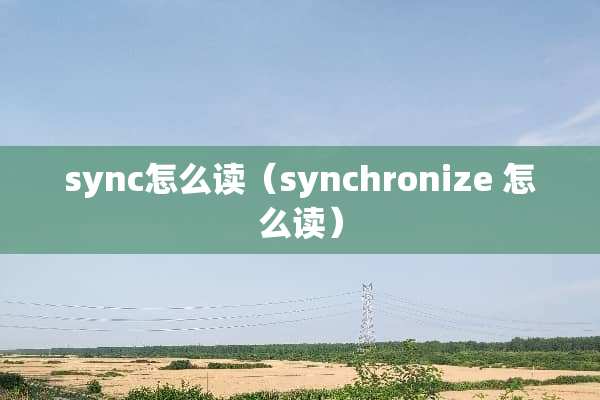 sync怎么读（synchronize 怎么读）