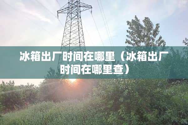 冰箱出厂时间在哪里（冰箱出厂时间在哪里查）
