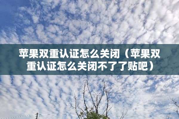 苹果双重认证怎么关闭（苹果双重认证怎么关闭不了了贴吧）