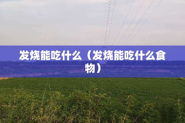 发烧能吃什么（发烧能吃什么食物）