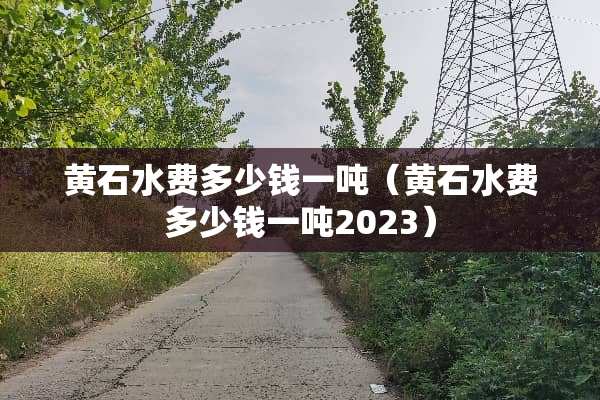 黄石水费多少钱一吨（黄石水费多少钱一吨2023）