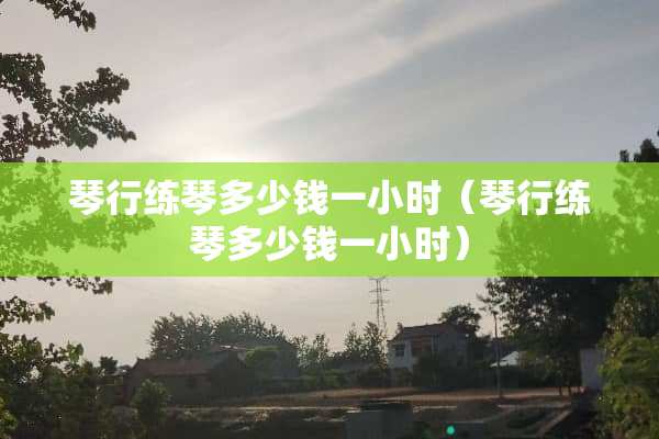 琴行练琴多少钱一小时（琴行练琴多少钱一小时）