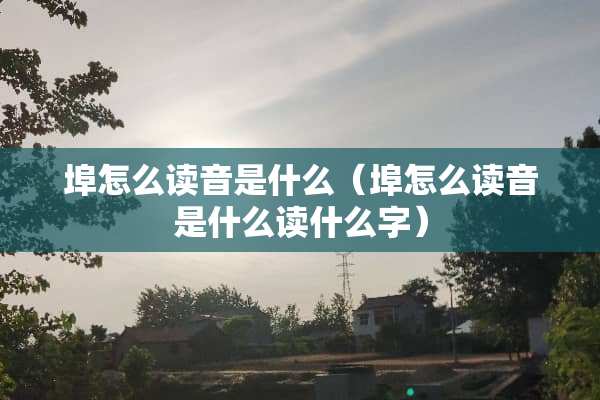 埠怎么读音是什么（埠怎么读音是什么读什么字）