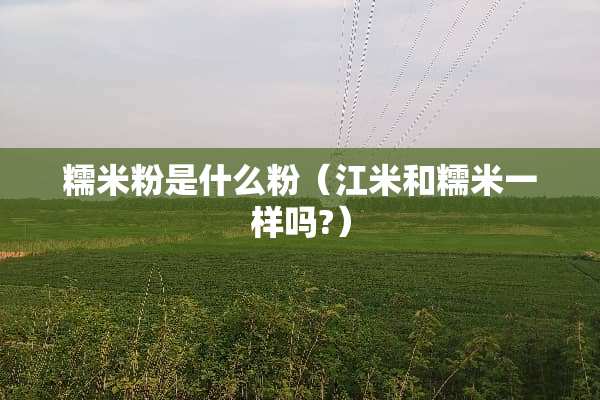 糯米粉是什么粉（江米和糯米一样吗?）