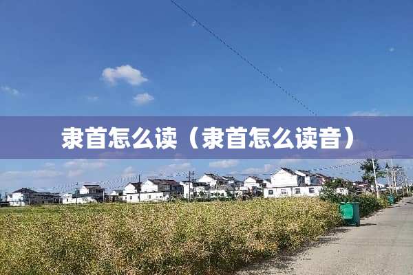 隶首怎么读（隶首怎么读音）