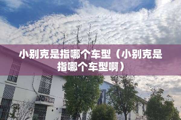 小别克是指哪个车型（小别克是指哪个车型啊）